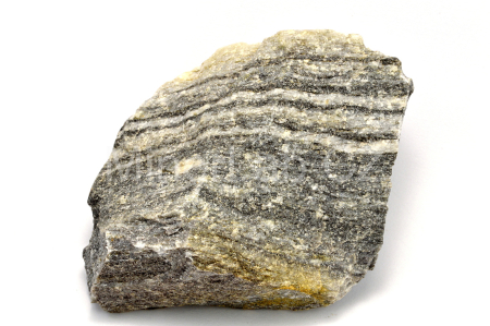 Obrázek ORTORULA