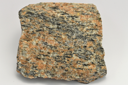 PARARULA