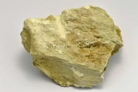 SLÍNOVEC
